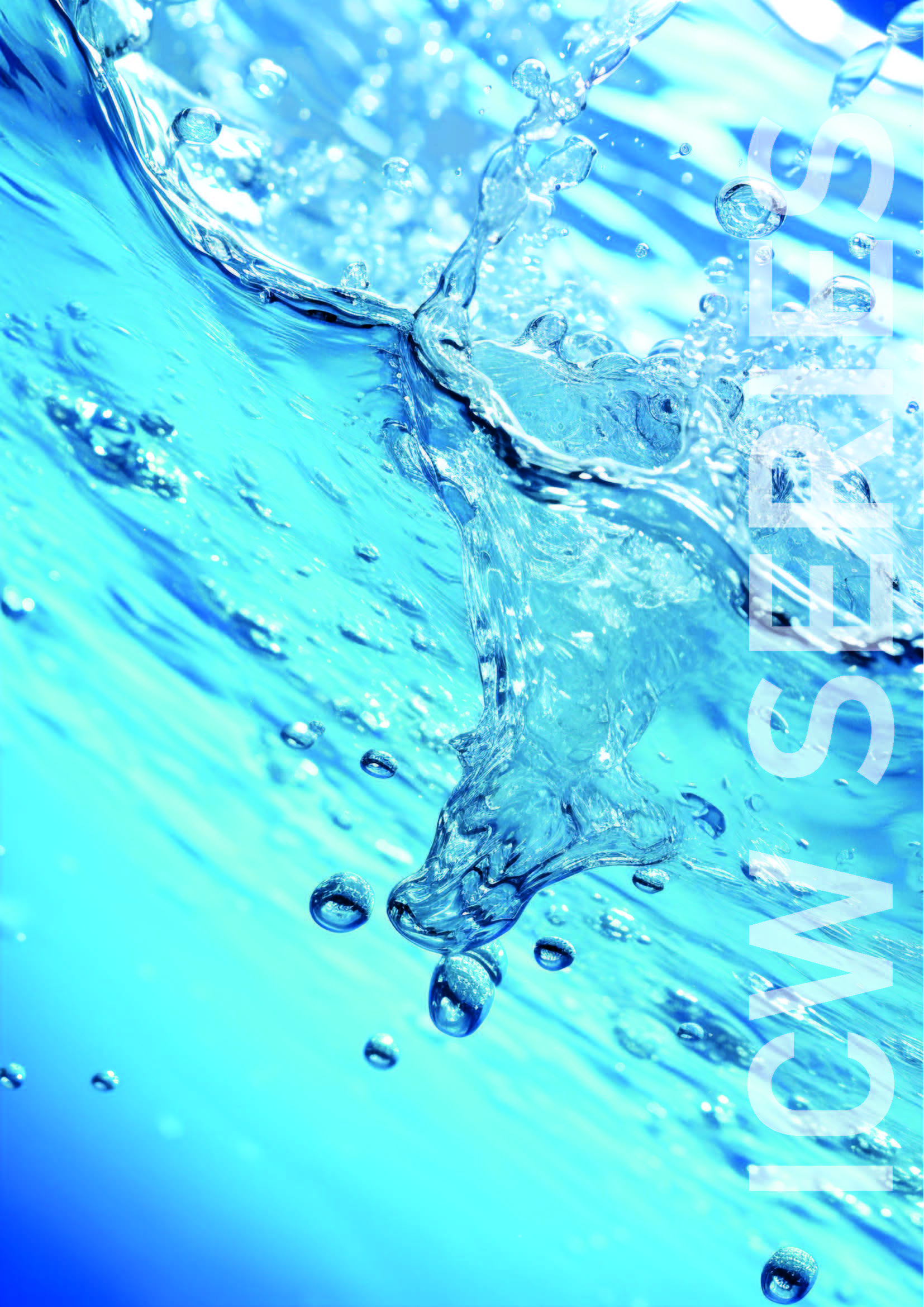 Industrielle Spültechnik für Großküchen